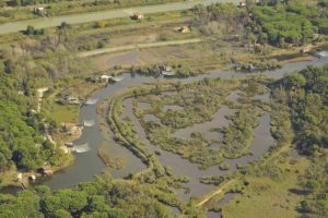 Scopri di più sull'articolo Fiumi Uniti & Terre del Lamone