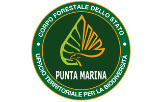 cfspuntamarina