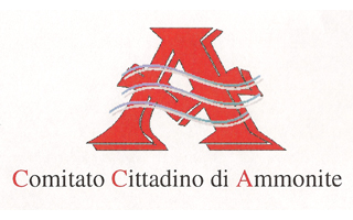comcitammonite