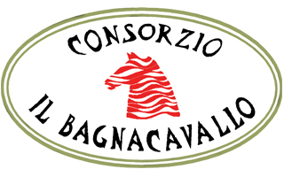 consbagnacavallo