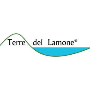 Scopri di più sull'articolo LE VIE DI DANTE